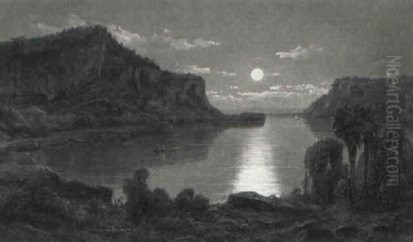 South American Landscape In Moonlight - view 1