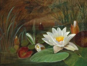 Water Lilies by Augusta Wilhelmine Reichelt