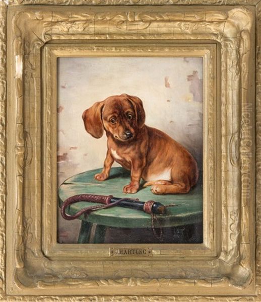 Dachshund Warily Eyeing A Whip - view 1