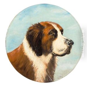 Portrait Eines Sennenhundes Portrait Eines Sennenhundes
