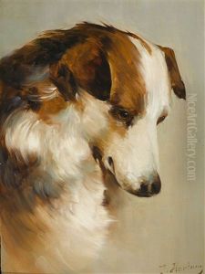Border Collie by Carl Reichert