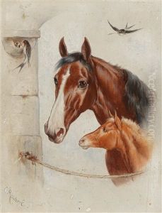 Idyllic Stable Scene