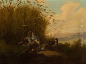 Partridge by Carl Reichert