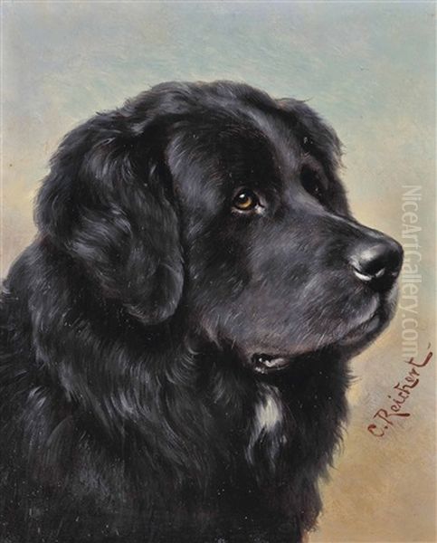 A Newfoundland (+ A Setter; Pair) - view 1