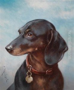 Portrait Eines Dackels
