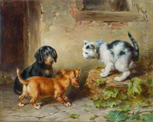 Das Mutige Katzchen by Carl Reichert