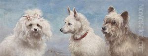 Die Angebetete Hundedame by Carl Reichert
