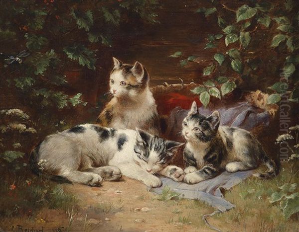 Katzenkinder - view 1