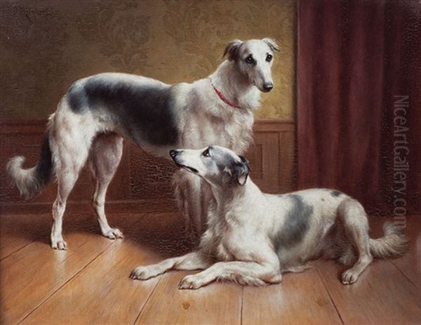 Perros - view 1