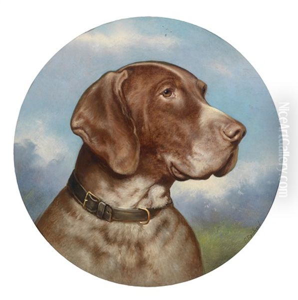Jagdhund - view 1