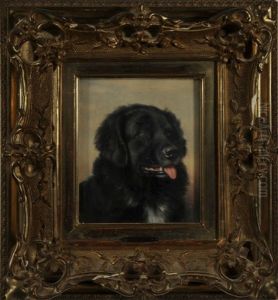 Portrait Eines Schwarzen Neufundlanders by Carl Reichert