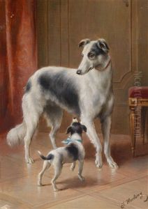 Windhunde