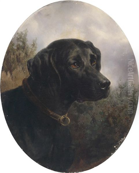 Hector - Vorstehhund Des Arthur Ritter V. Schnapper - view 1