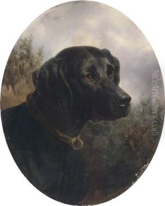 Hector - Vorstehhund Des Arthur Ritter V. Schnapper