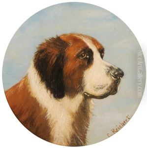 Bernhardinerhund
