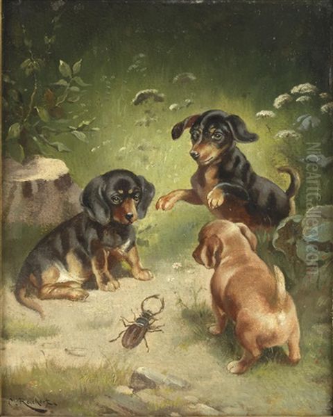 Dackelwelpen Beim Spiel - view 1