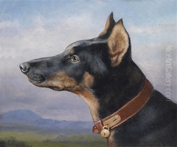 Portrait Eines Dobermanns - view 1