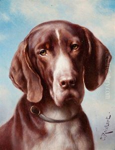 Hundeportrait Deutsch-kurzhaar