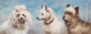 The Admirers by Carl Reichert