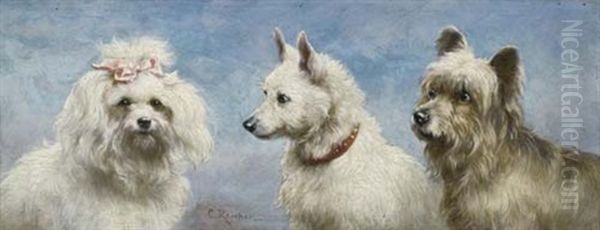 Drei Hunde - view 1