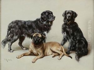 Favorite Dogs (+ Another; Pair) Favorite Dogs (+ Another; Pair)
