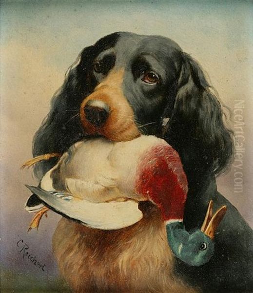 Gordon Setter With Stockerpel - view 1