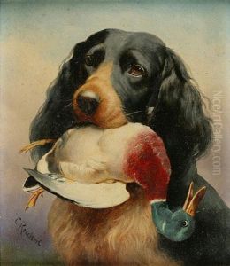 Gordon Setter With Stockerpel