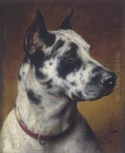 Junge Dogge by Carl Reichert