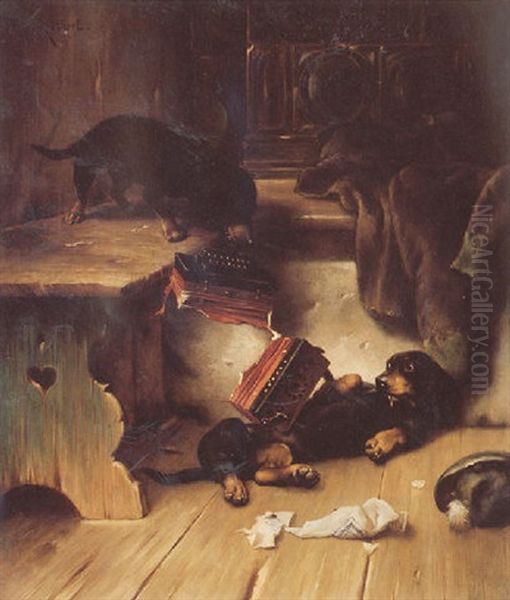 Playfull Dachshunds - view 1