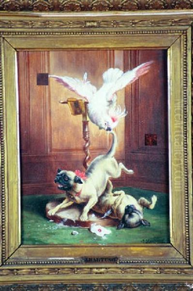 A Cockatoo Biting The Tail Of A Dog - view 1
