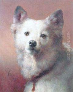 Spitz