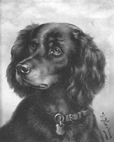 Spaniel - view 1