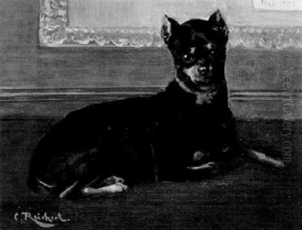 Rehpinscher - view 1