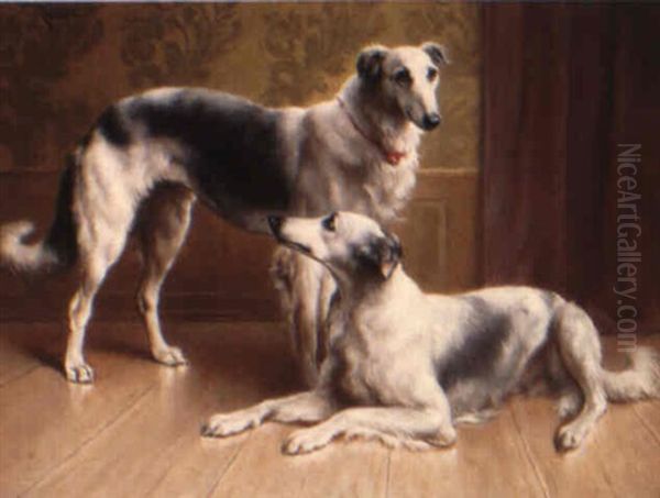 Portrait Of Dogs - view 1