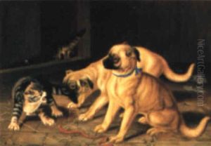 Zwei Junge Hunde, Mit Einer Katze Zankend Zwei Junge Hunde, Mit Einer Katze Zankend