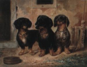 Drei Dackel Schauen Aufmerksam by Carl Reichert