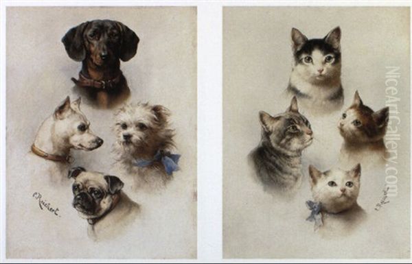 Studies Of Dogs - view 1