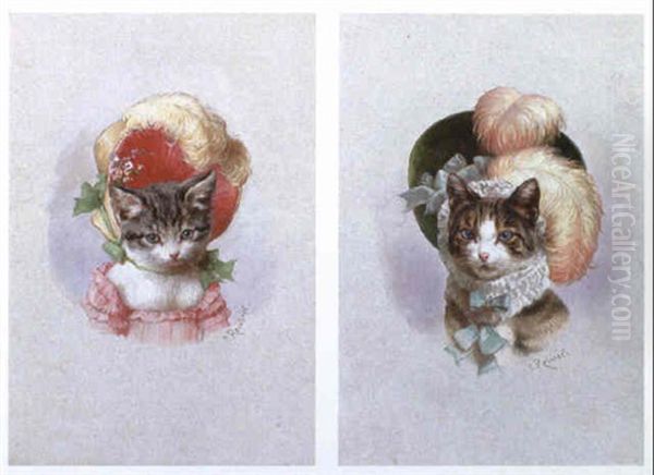 Katzenparchen - view 1