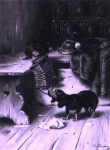 The Curious Box by Carl Reichert