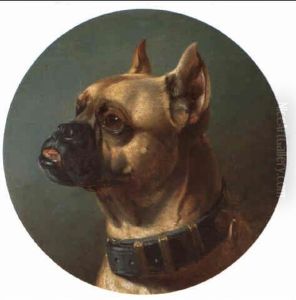 Bulldogge