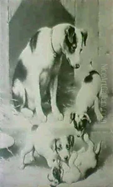 Puppies At Play - view 1