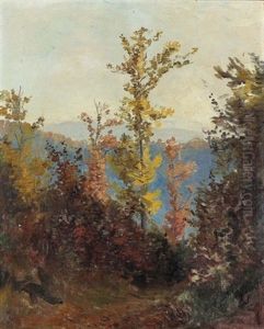 Waldweg Im Herbst Bei Sonnigem Wetter by Jean-Joseph Reichlen