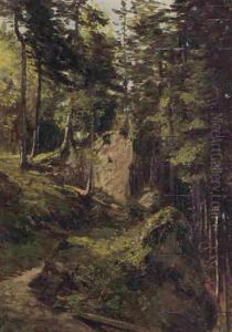 Waldweg Im Sommer Waldweg Im Sommer