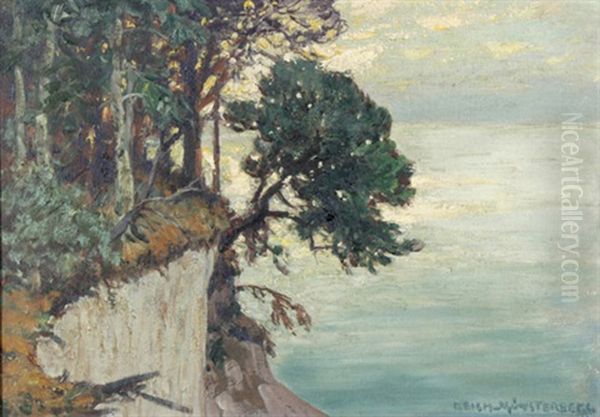 Ostseekuste (usedom?) - view 1
