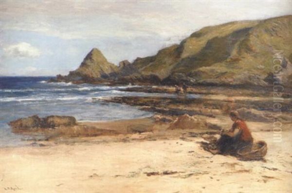 The Bait Gatherers - view 1