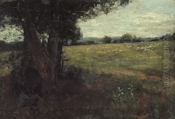 Pascolo - view 1