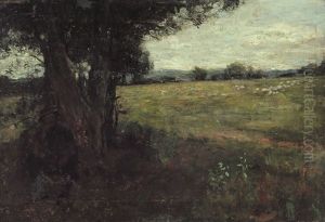 Pascolo Pascolo