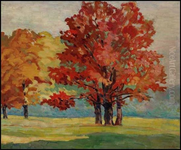 Early Autumn (wychwood Park) - view 1