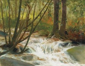 Forest Rapids Forest Rapids