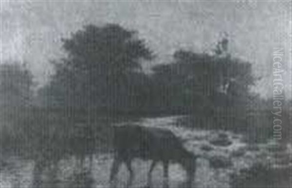 Cows Watering - view 1